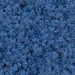 Bay Blue
